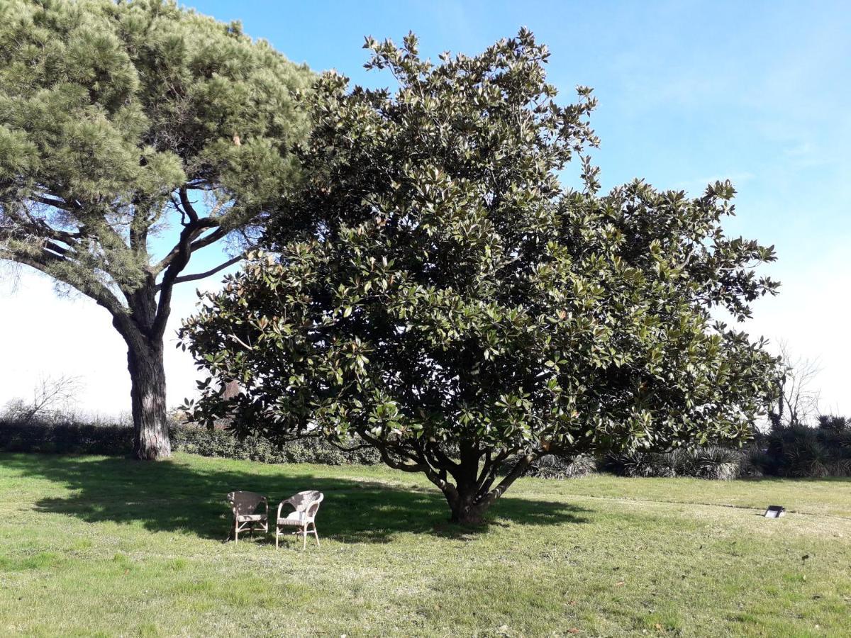 Antico Borgo Di Sutri Hotel Kültér fotó