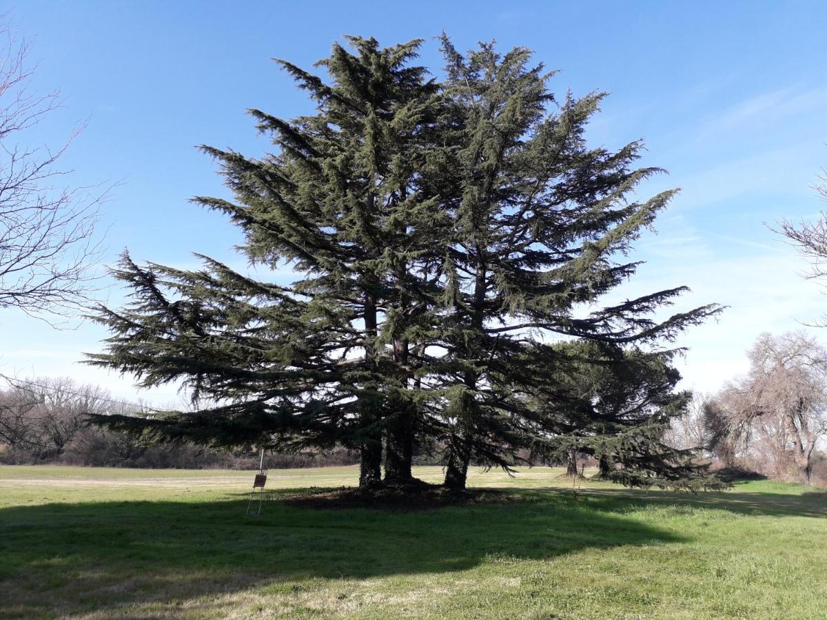 Antico Borgo Di Sutri Hotel Kültér fotó